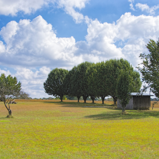 Diferencias entre Parcela, Solar y Finca